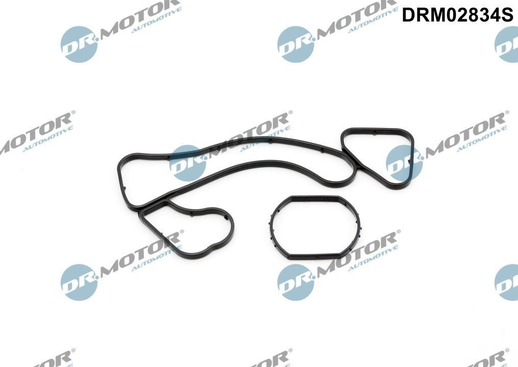 Прокладка оливного радіатора двигуна DR.MOTOR AUTOMOTIVE DRM02834S - zapix