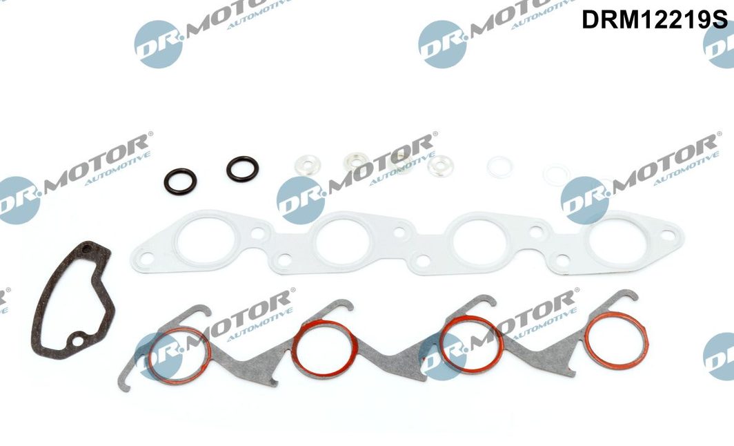 Комплект прокладок двигуна DR.MOTOR AUTOMOTIVE DRM12219S - zapix