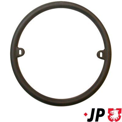 Прокладка оливного радіатора двигуна JP GROUP 1113550300 - zapix