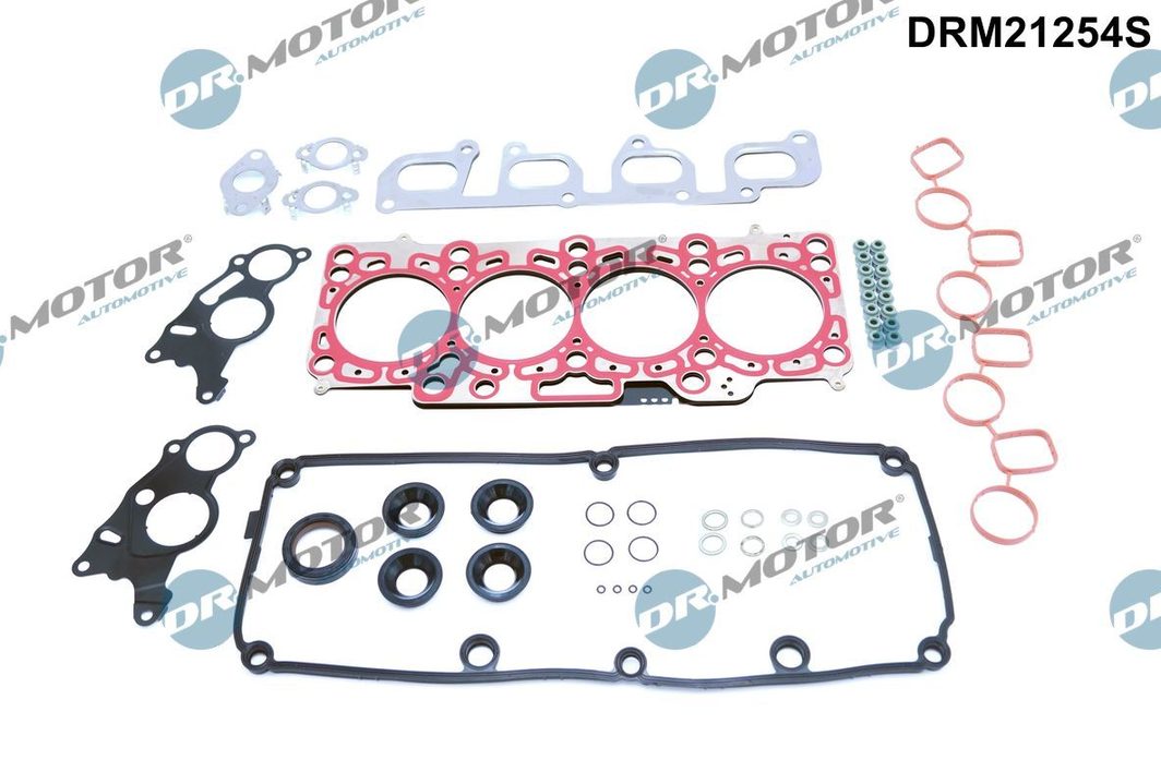 Комплект прокладок двигуна DR.MOTOR AUTOMOTIVE DRM21254S - zapix
