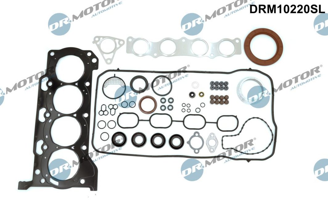 Комплект прокладок двигуна DR.MOTOR AUTOMOTIVE DRM10220SL - zapix