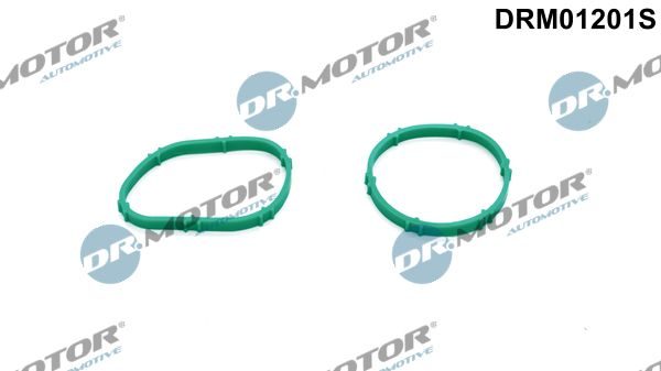 Прокладка впускного колектора DR.MOTOR AUTOMOTIVE DRM01201S - zapix