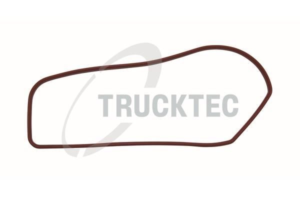 Прокладка впускного колектора TRUCKTEC AUTOMOTIVE 0216056 - zapix