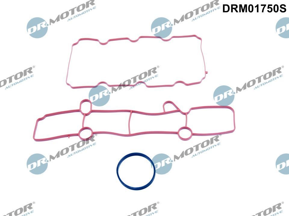 Прокладка впускного колектора DR.MOTOR AUTOMOTIVE DRM01750S - zapix