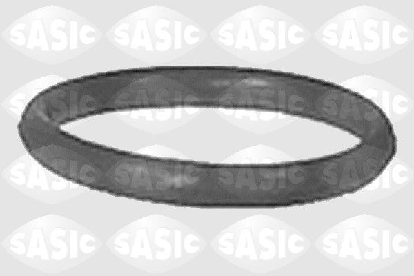 Прокладка впускного колектора SASIC 3420E00 - zapix