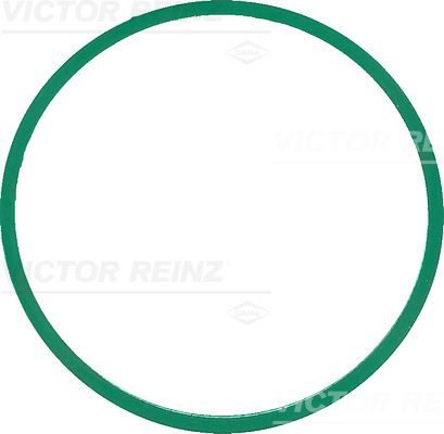 Прокладка впускного колектора VICTOR REINZ 407758600 - zapix