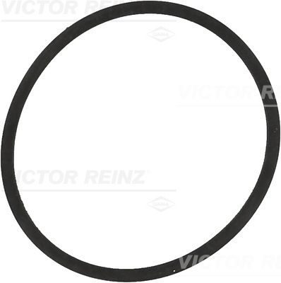 Прокладка впускного колектора VICTOR REINZ 713420400 - zapix