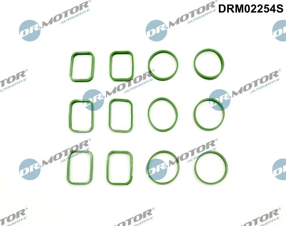 Прокладка впускного колектора DR.MOTOR AUTOMOTIVE DRM02254S - zapix