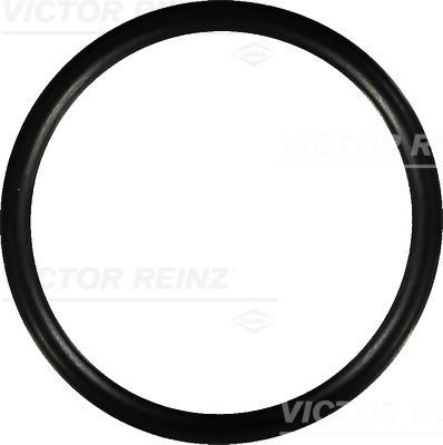 Прокладка впускного колектора VICTOR REINZ 407675200 - zapix