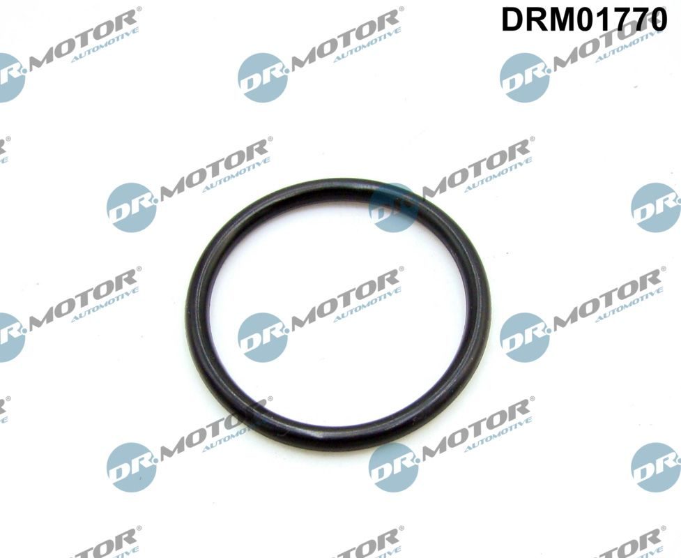 Прокладка впускного колектора DR.MOTOR AUTOMOTIVE DRM01770 - zapix