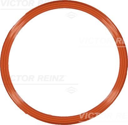 Прокладка впускного колектора VICTOR REINZ 711082900 - zapix