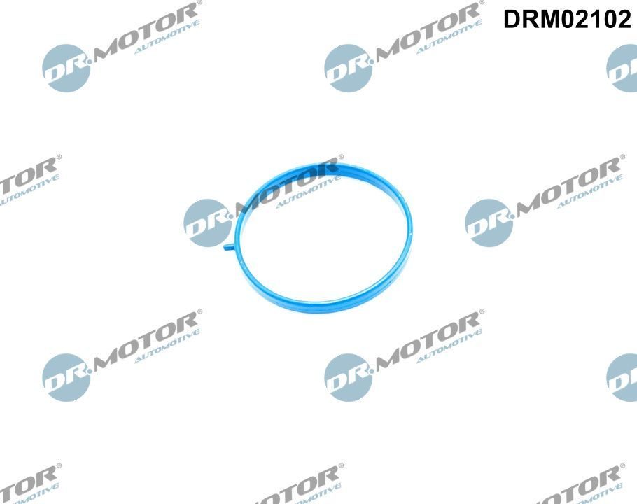 Прокладка впускного колектора DR.MOTOR AUTOMOTIVE DRM02102 - zapix