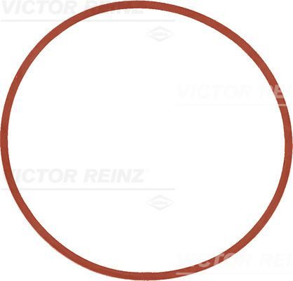 Прокладка впускного колектора VICTOR REINZ 407753500 - zapix