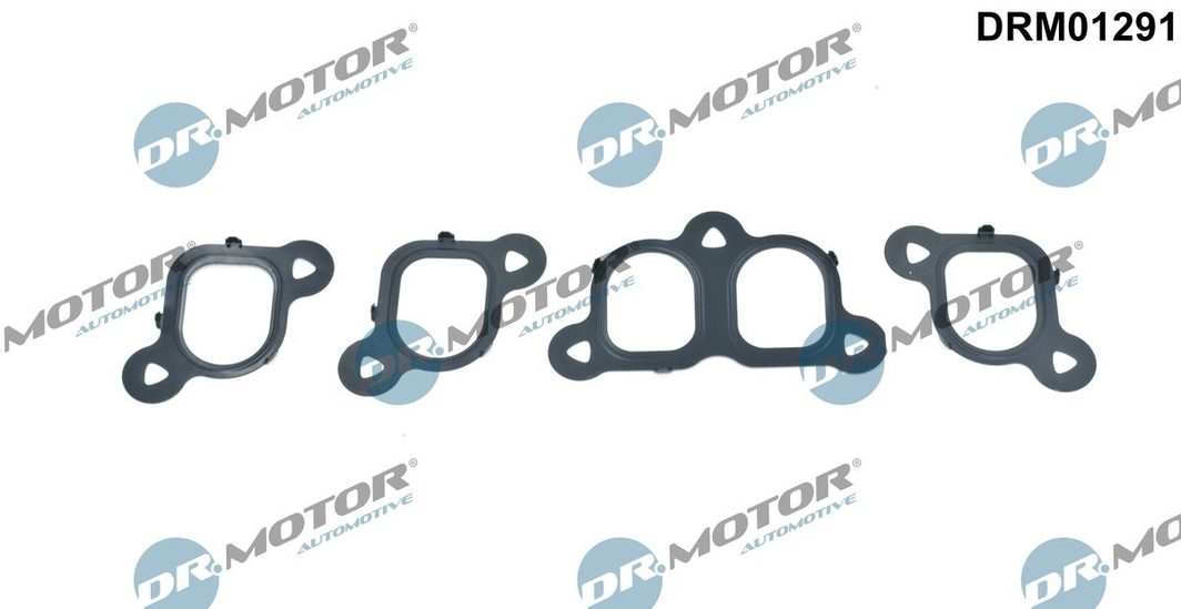 Прокладка впускного колектора DR.MOTOR AUTOMOTIVE DRM01291 - zapix
