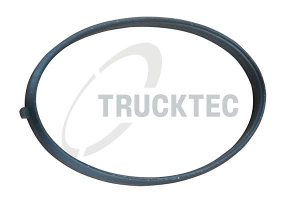 Прокладка впускного колектора TRUCKTEC AUTOMOTIVE 0216055 - zapix