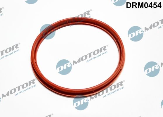 Прокладка впускного коллектора DR.MOTOR AUTOMOTIVE DRM0454