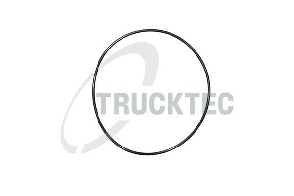 Прокладка впускного колектора TRUCKTEC AUTOMOTIVE 0216048 - zapix