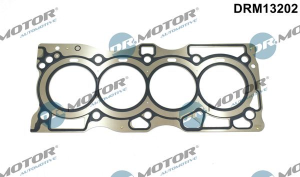 Прокладка головки циліндра DR.MOTOR AUTOMOTIVE DRM13202 - zapix