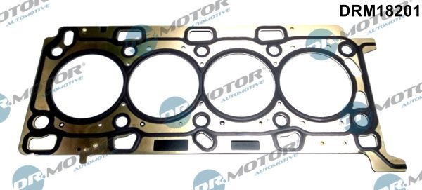 Прокладка головки циліндра DR.MOTOR AUTOMOTIVE DRM18201 - zapix