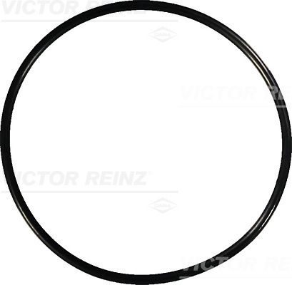 Прокладка клапанної кришки VICTOR REINZ 407674100 - zapix