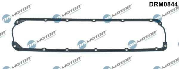 Прокладка клапанної кришки DR.MOTOR AUTOMOTIVE DRM0844 - zapix