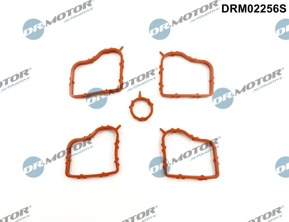 Прокладка клапанної кришки DR.MOTOR AUTOMOTIVE DRM02256S - zapix