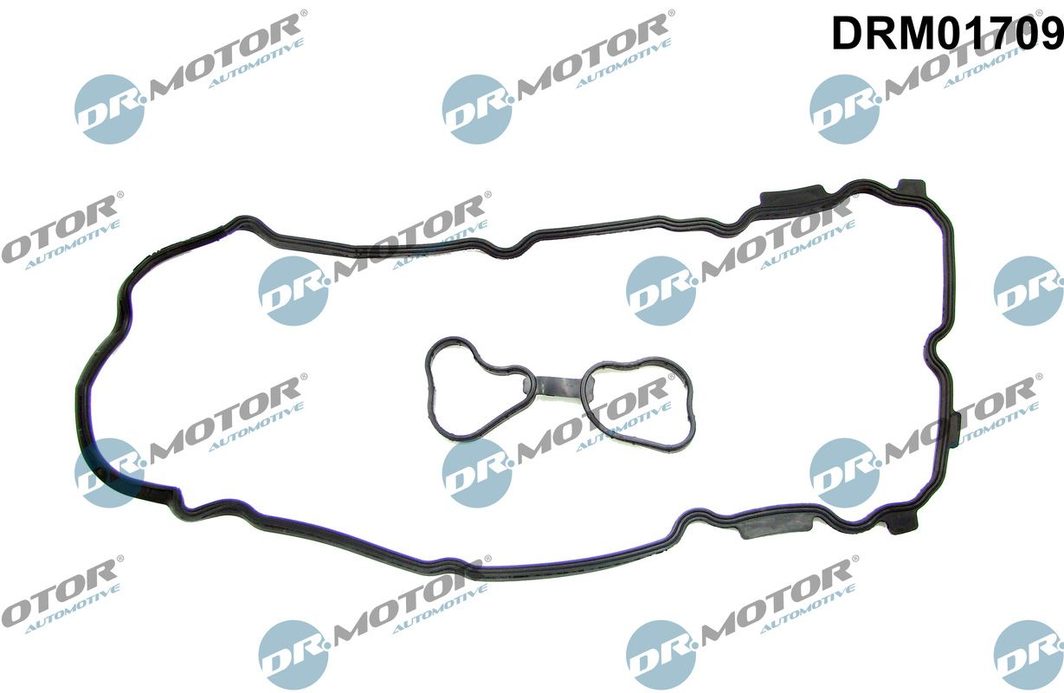 Прокладка клапанної кришки DR.MOTOR AUTOMOTIVE DRM01709 - zapix