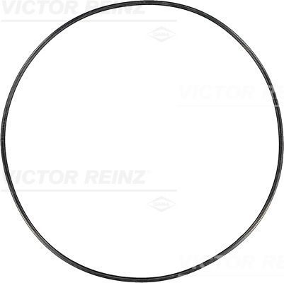 Прокладка клапанної кришки VICTOR REINZ 713769100 - zapix