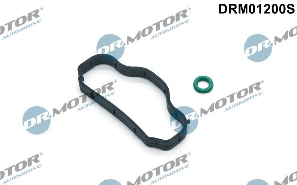 Прокладка клапанної кришки DR.MOTOR AUTOMOTIVE DRM01200S - zapix