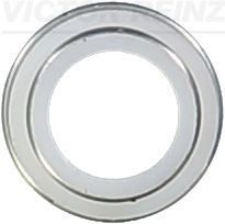 Сальник клапана VICTOR REINZ 702306200 - zapix