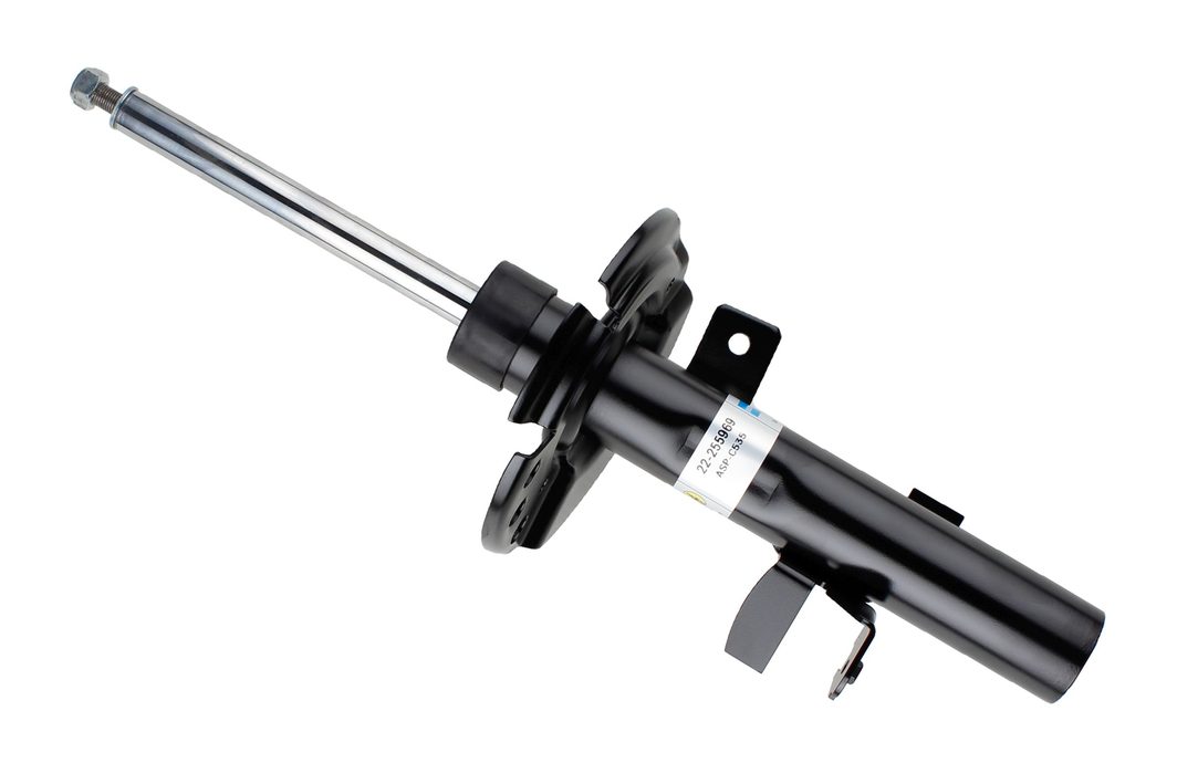 Амортизатор BILSTEIN 22255969 - zapix