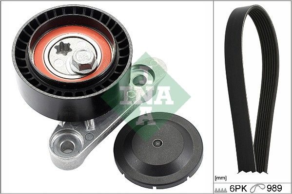 Комплект поліклинових ременів SCHAEFFLER INA 529016010 - zapix