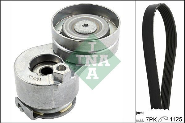 Комплект поліклинових ременів SCHAEFFLER INA 529008810 - zapix