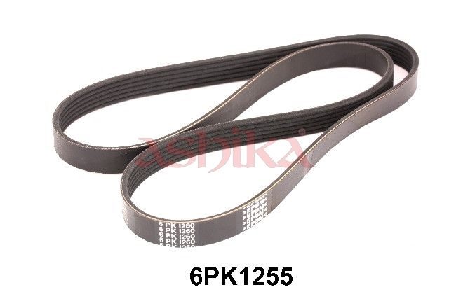 Поліклиновий ремінь ASHIKA 1126PK1255 - zapix