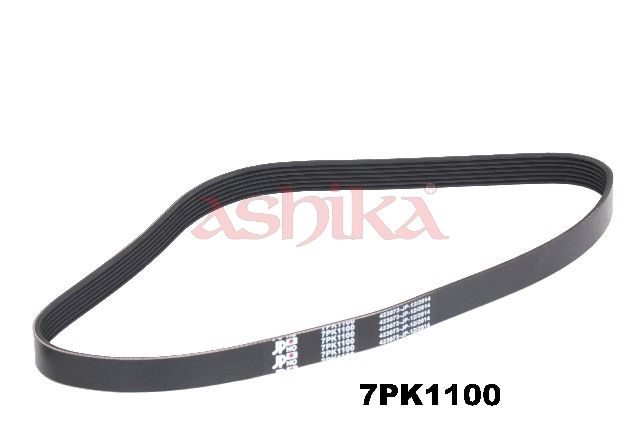 Поліклиновий ремінь ASHIKA 1127PK1100 - zapix