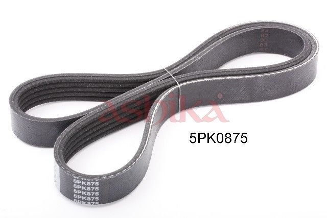 Поліклиновий ремінь ASHIKA 1125PK875 - zapix