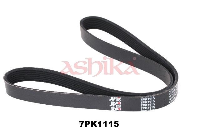 Поліклиновий ремінь ASHIKA 1127PK1115 - zapix
