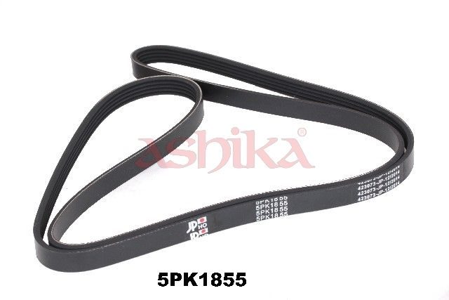 Поліклиновий ремінь ASHIKA 1125PK1855 - zapix