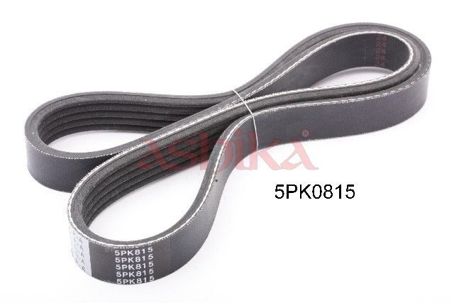 Поліклиновий ремінь ASHIKA 1125PK815 - zapix