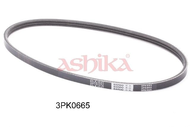Поліклиновий ремінь ASHIKA 1123PK665 - zapix
