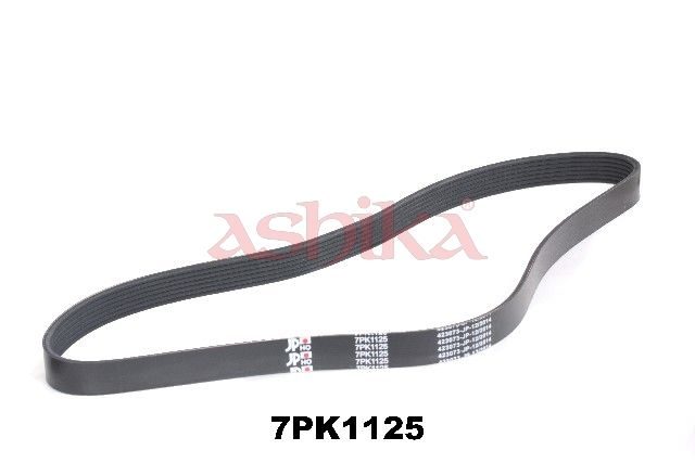 Поліклиновий ремінь ASHIKA 1127PK1125 - zapix