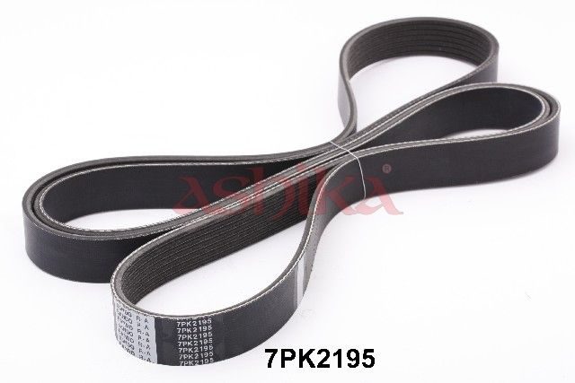Поліклиновий ремінь ASHIKA 1127PK2195 - zapix