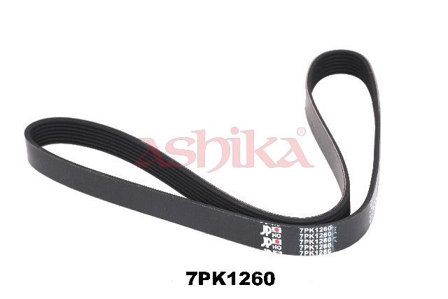 Поліклиновий ремінь ASHIKA 1127PK1260 - zapix