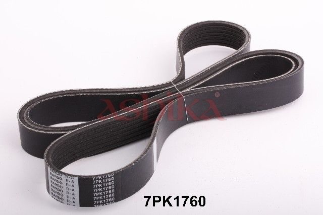 Поліклиновий ремінь ASHIKA 1127PK1760 - zapix
