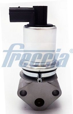 Клапан EGR FRECCIA EGR12129 - zapix