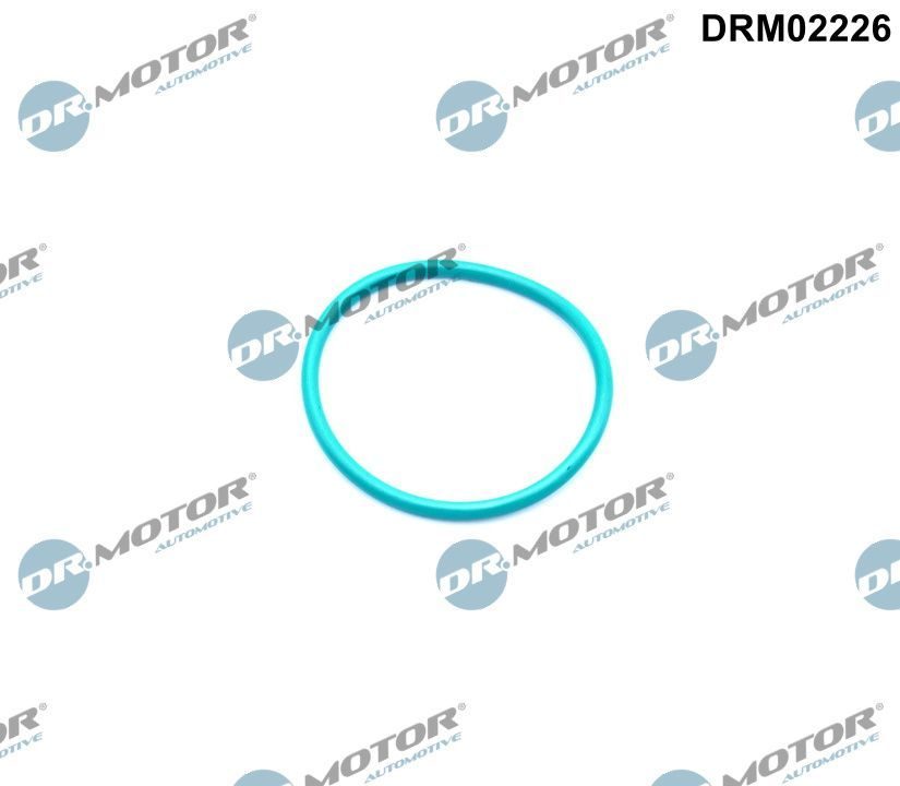 Прокладка EGR DR.MOTOR AUTOMOTIVE DRM02226 - zapix