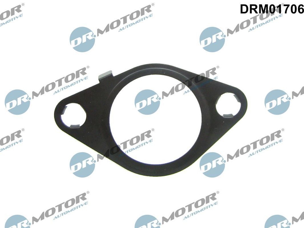 Прокладка EGR DR.MOTOR AUTOMOTIVE DRM01706 - zapix