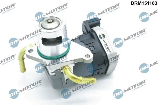 Клапан EGR DR.MOTOR AUTOMOTIVE DRM151103 - zapix
