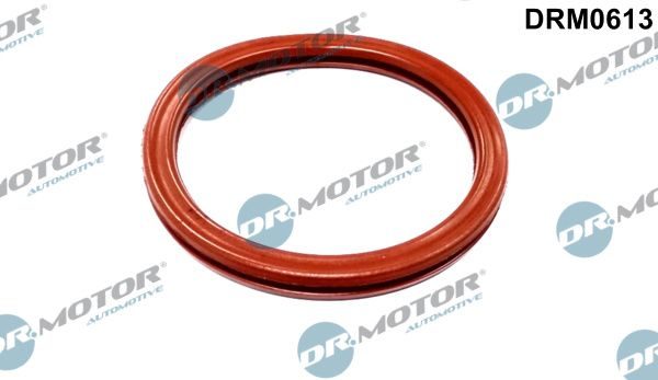 Прокладка дросельної заслонки DR.MOTOR AUTOMOTIVE DRM0613 - zapix