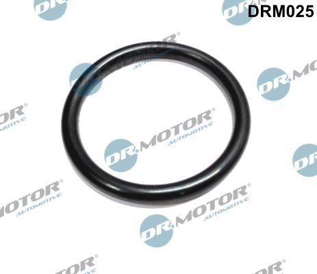 Прокладка дросельної заслонки DR.MOTOR AUTOMOTIVE DRM025 - zapix